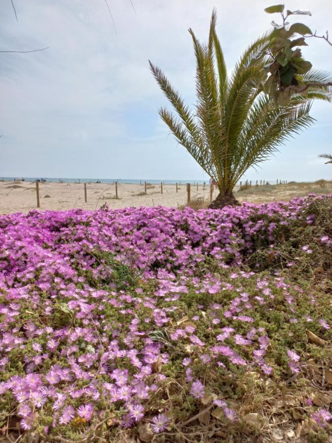 Friendly Home Bella Casa Sagunto Exteriér fotografie